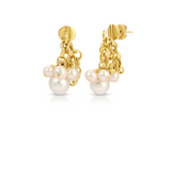 Bubble Hooked Earrings